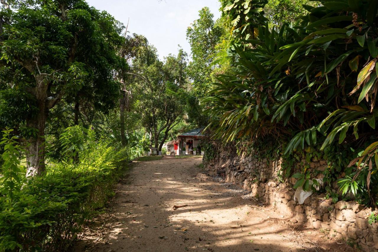 Roseland Cottages Bandarawela Extérieur photo