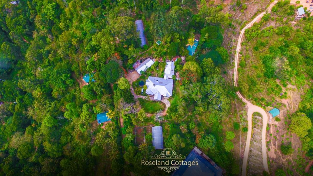 Roseland Cottages Bandarawela Extérieur photo