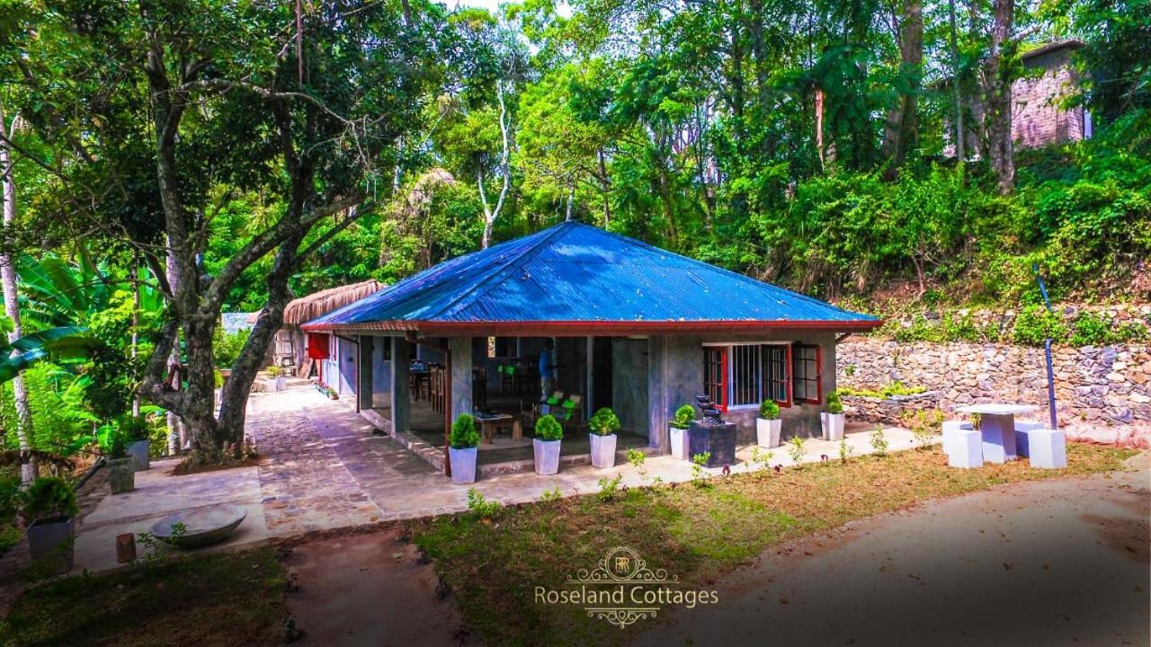 Roseland Cottages Bandarawela Extérieur photo