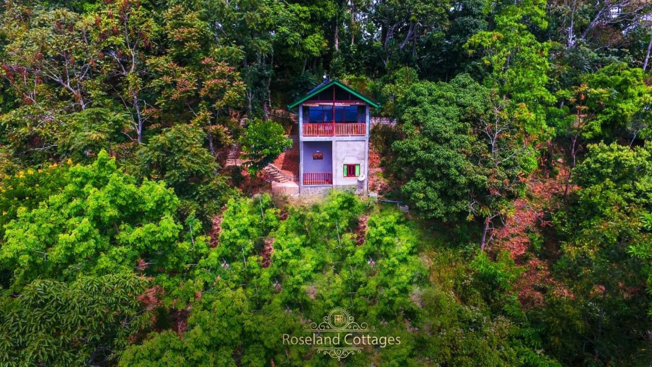 Roseland Cottages Bandarawela Extérieur photo