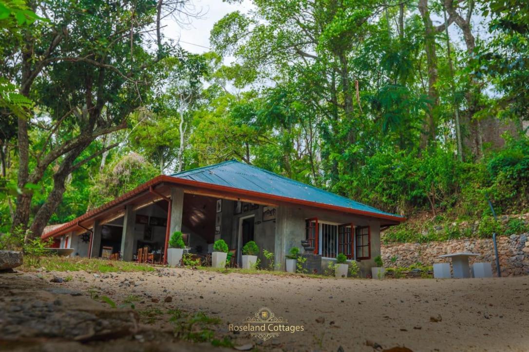 Roseland Cottages Bandarawela Extérieur photo