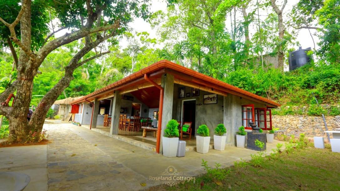 Roseland Cottages Bandarawela Extérieur photo